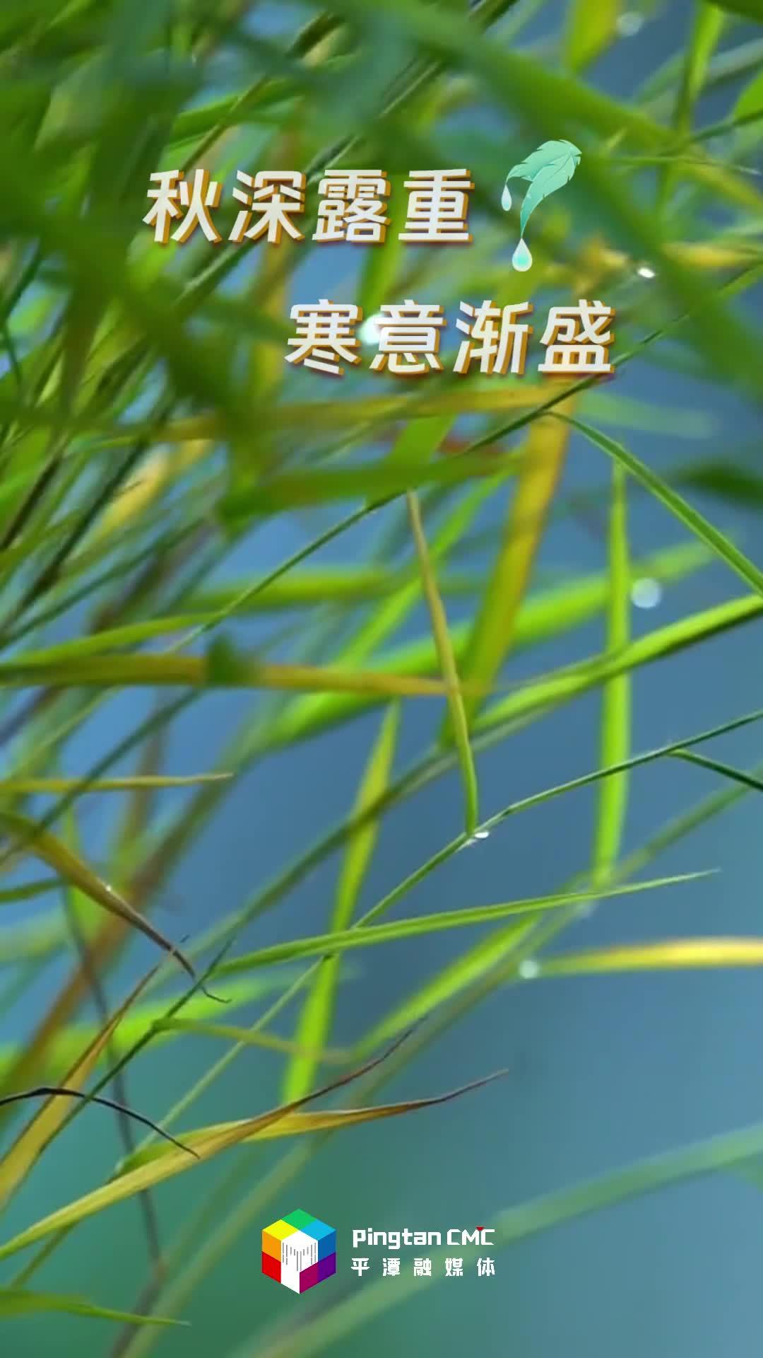 24節(jié)氣丨寒露：漫步在平潭，海島秋光無(wú)限好