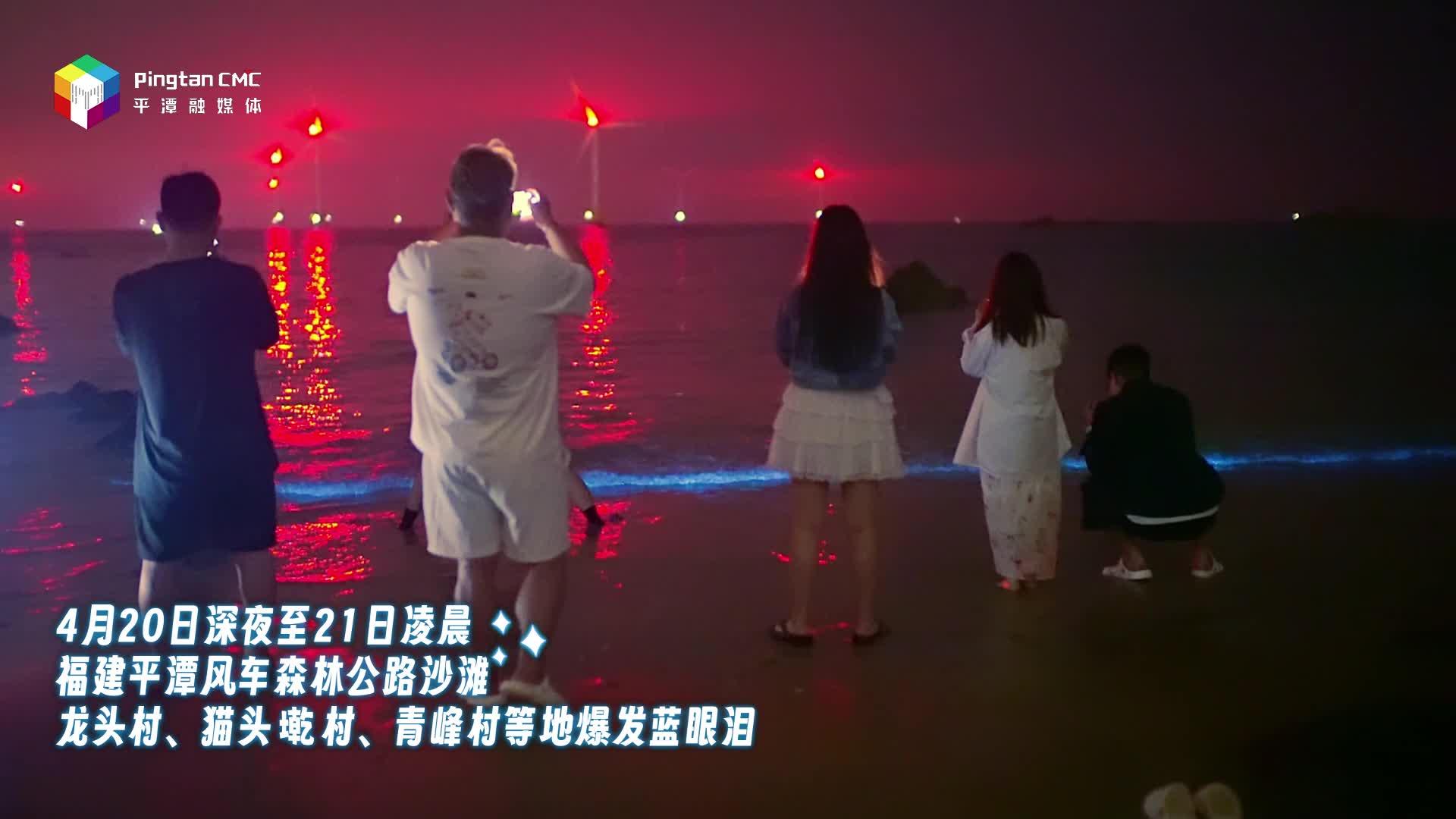 福建平潭開啟浪漫模式，多地爆發藍眼淚！
