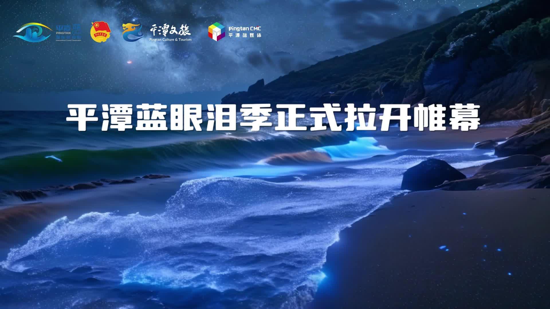 平潭藍眼淚季視頻挑戰(zhàn)賽