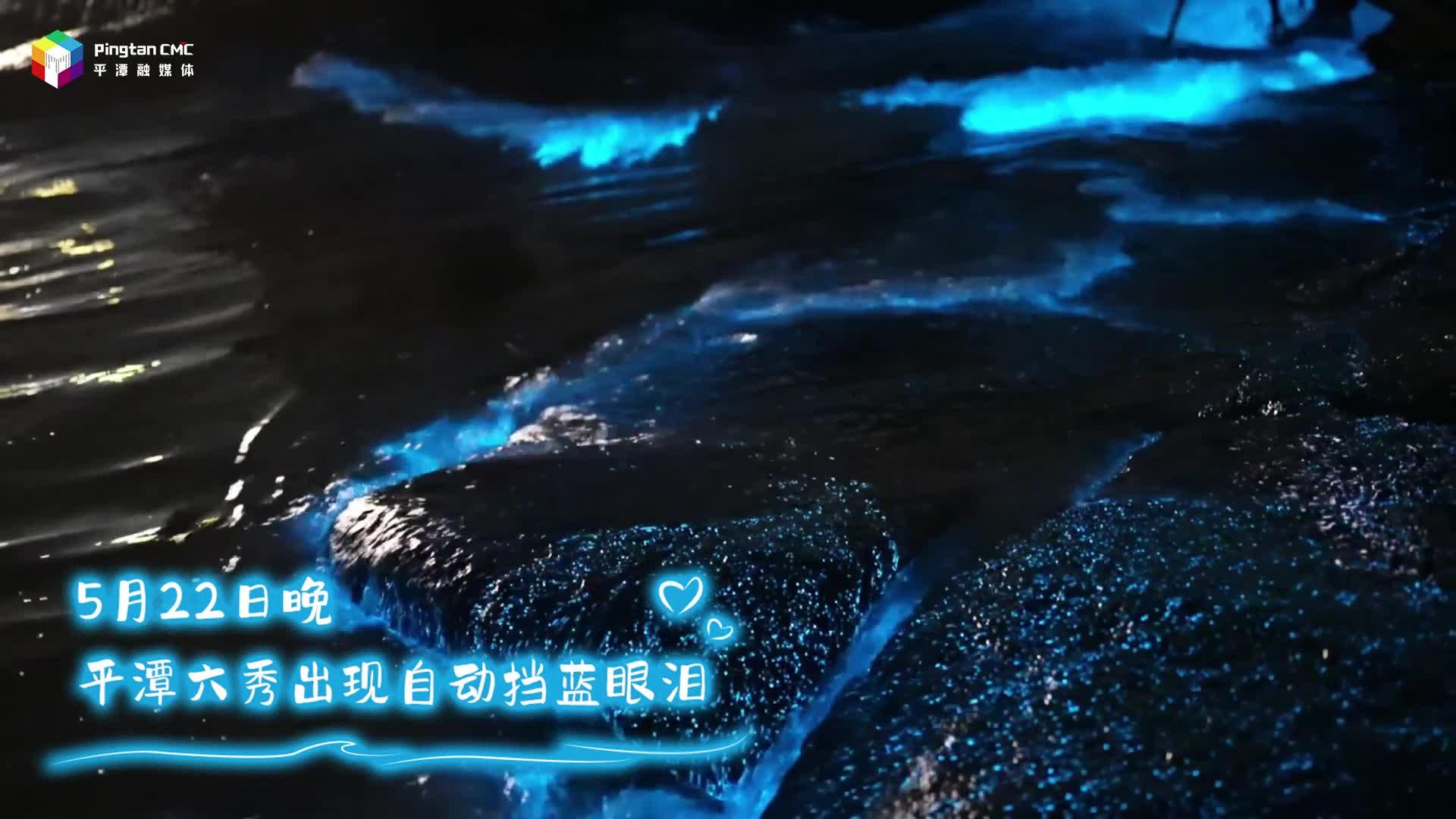 浪漫常駐！5月22日晚，平潭六秀出現自動擋藍眼淚