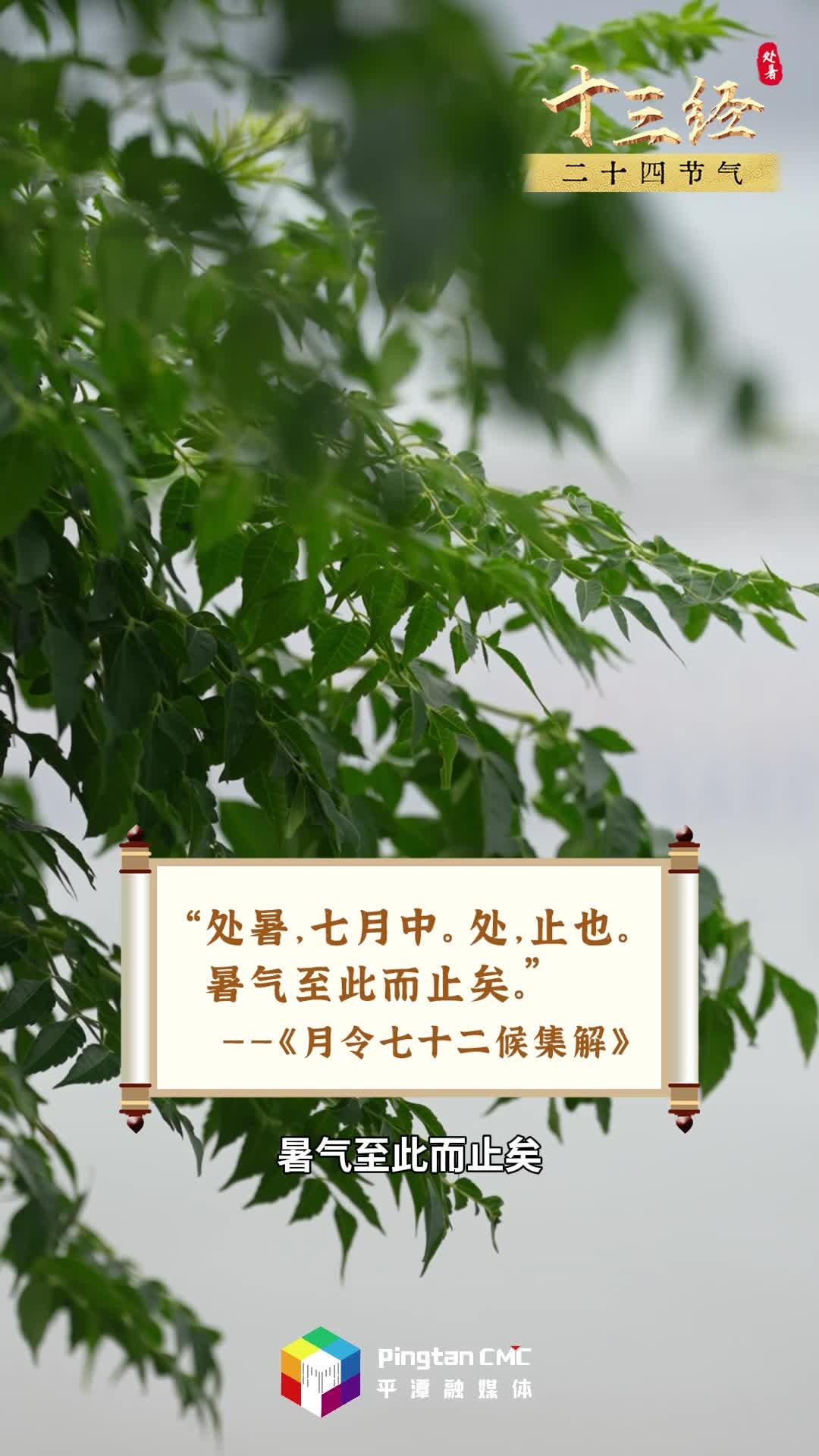 “十三經”二十四節氣 | 處暑