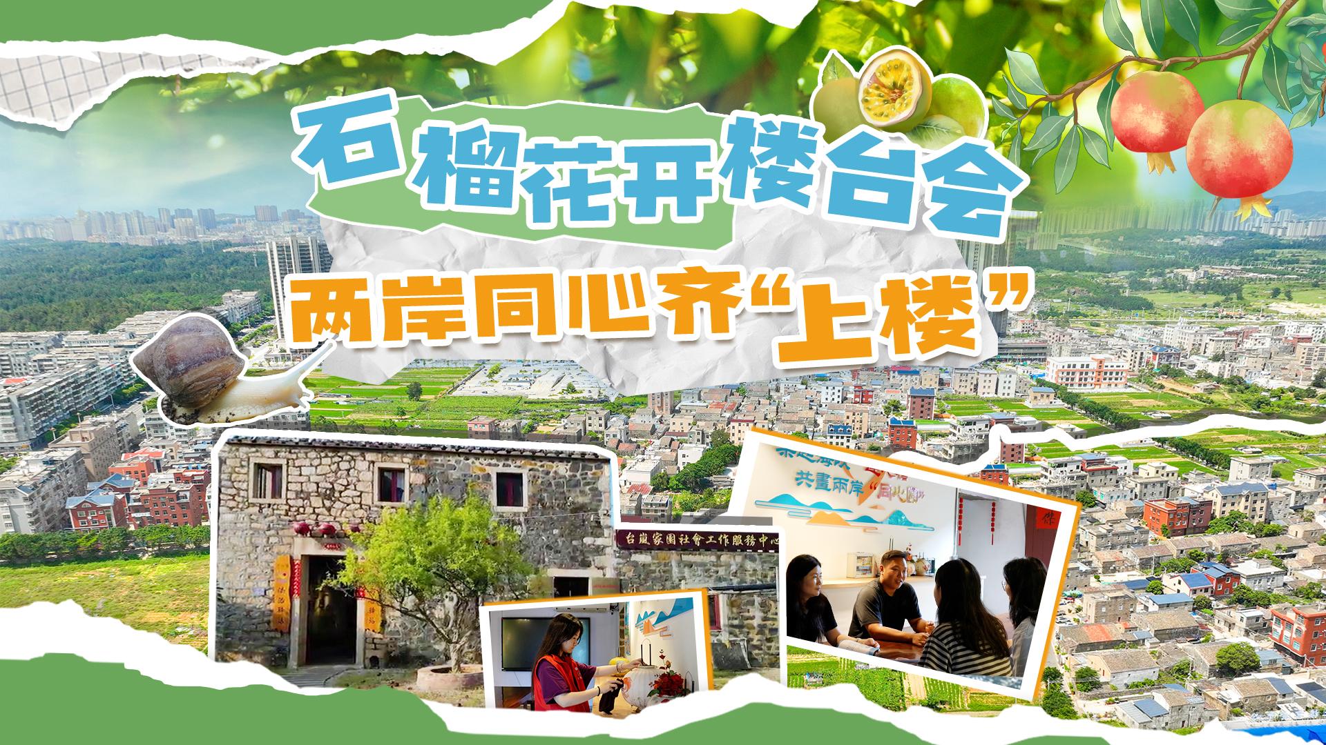 石榴花開樓臺會 兩岸同心齊“上樓”